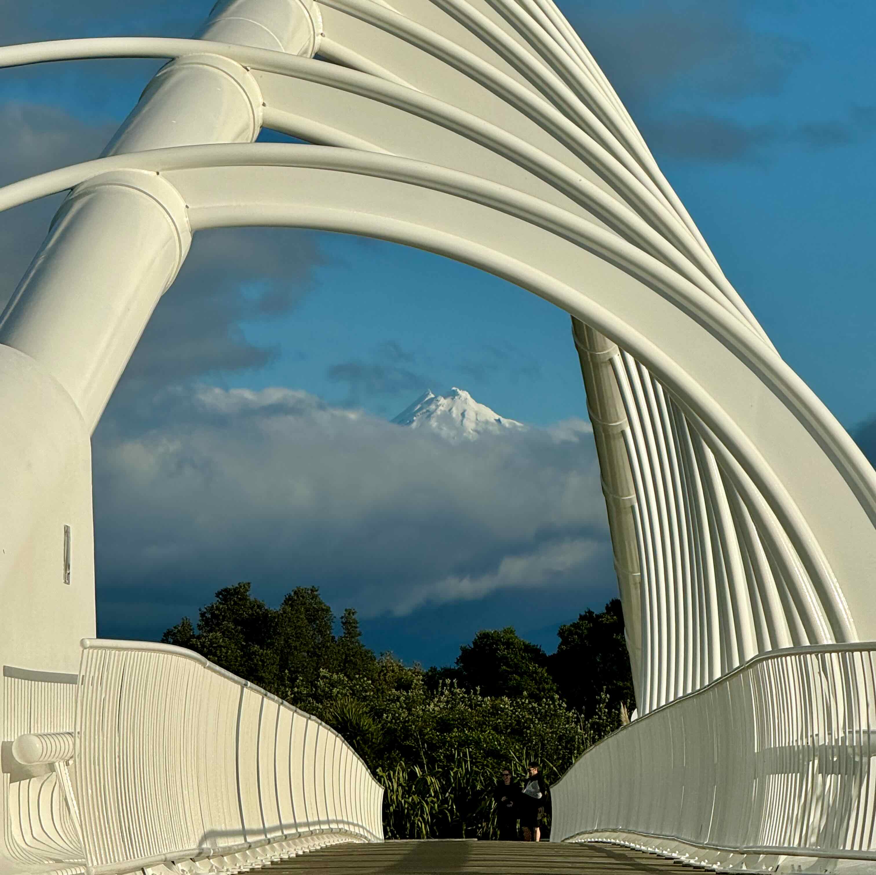 Look into the Snowcap from Te Rewa Rewa Bridge